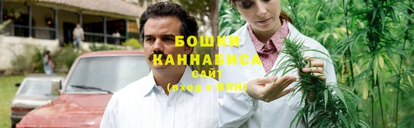 Альфа ПВП Верея