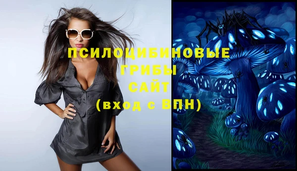дмт Бронницы