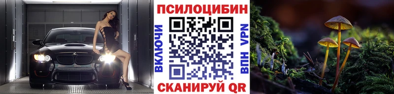 закладка Ипатово Галлюциногенные грибы Psilocybe